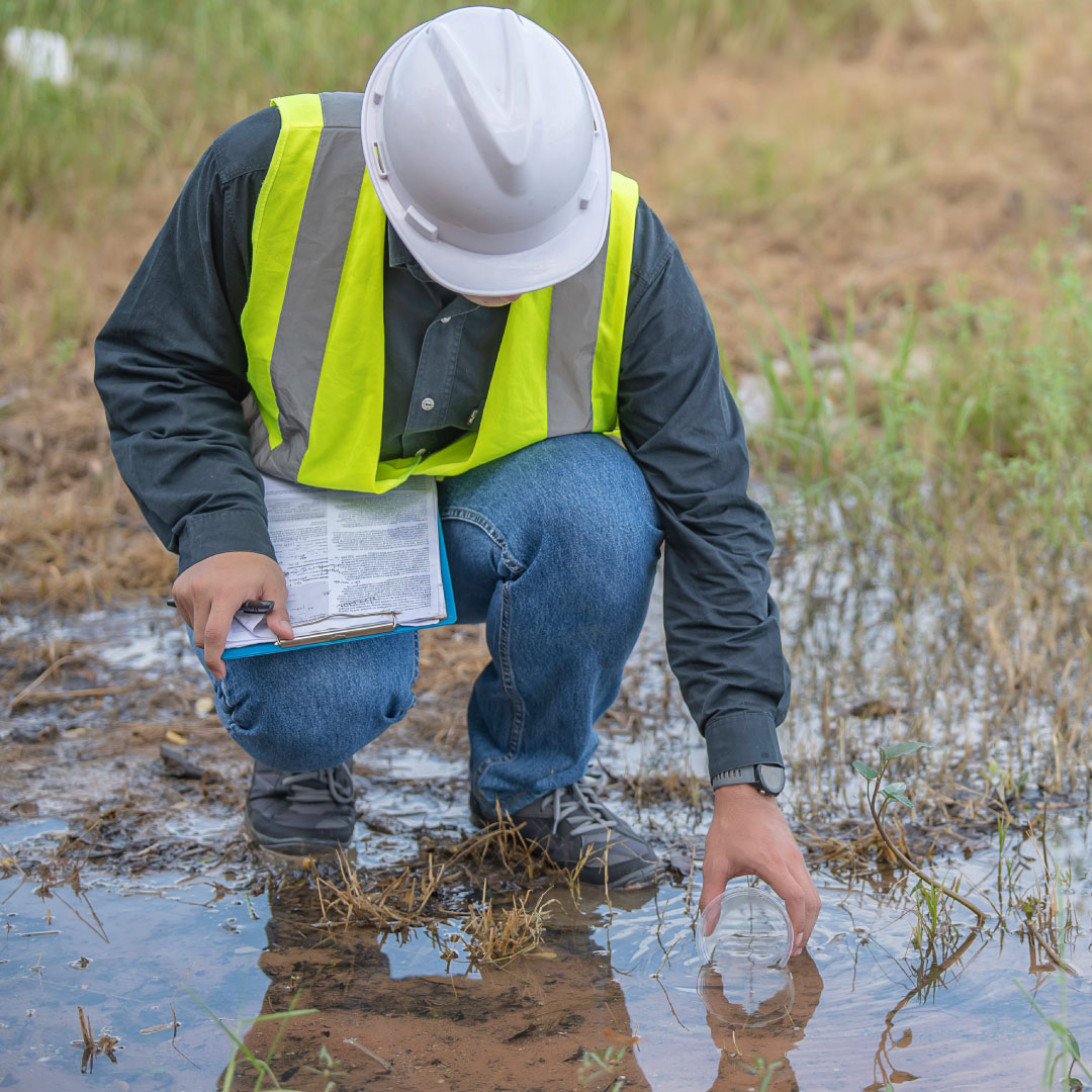 Meie teenused keskkonnamõju hindamisel